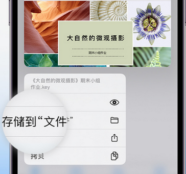 万全apple维修中心分享iPhone文件应用中存储和找到下载文件