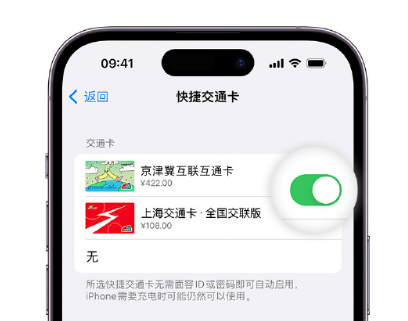 万全apple维修点分享iPhone上更换Apple Pay快捷交通卡手绘卡面 