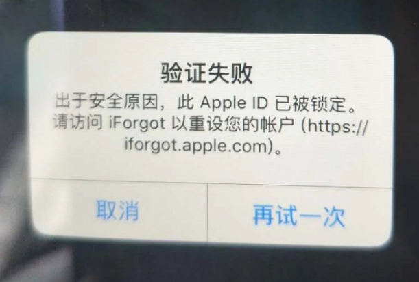 万全iPhone维修分享iPhone上正常登录或使用AppleID怎么办 