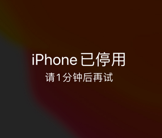 万全苹果手机维修分享:iPhone 显示“不可用”或“已停用”怎么办？还能保留数据吗？ 