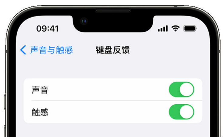 万全苹果手机维修分享iPhone 14触感键盘使用方法 