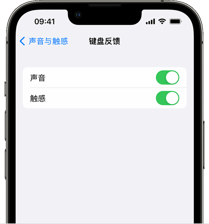 万全苹果14维修店分享如何在 iPhone 14 机型中使用触感键盘 