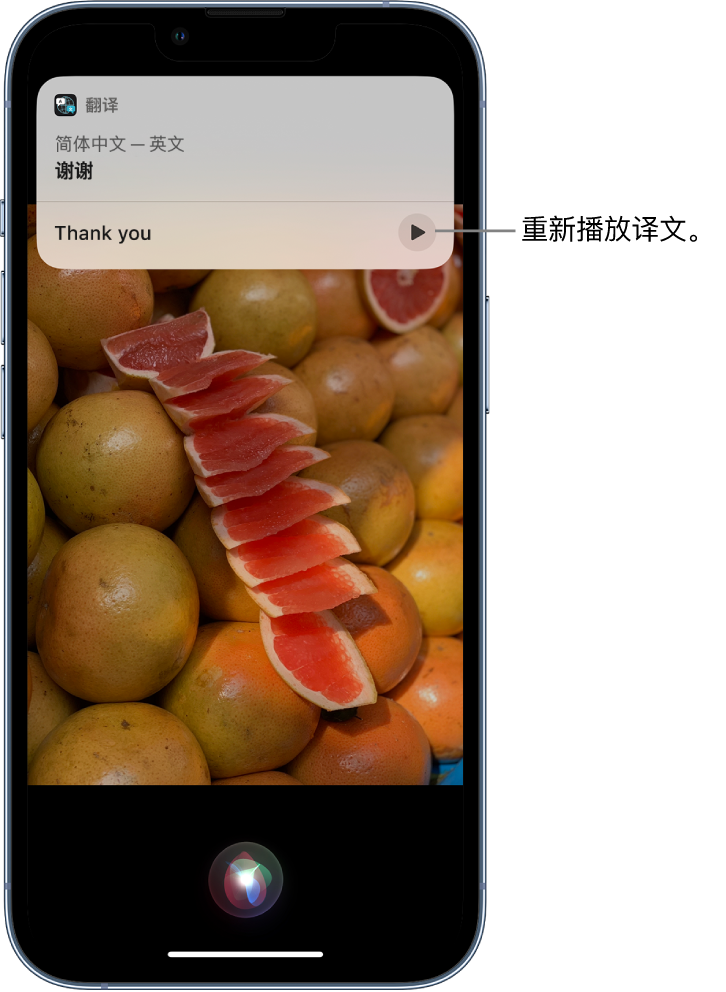 万全苹果14维修分享 iPhone 14 机型中使用 Siri：了解 Siri 能帮你做什么 