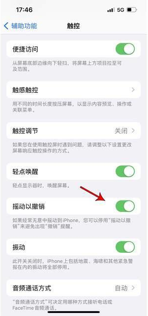 万全苹果手机维修分享iPhone手机如何设置摇一摇删除文字 